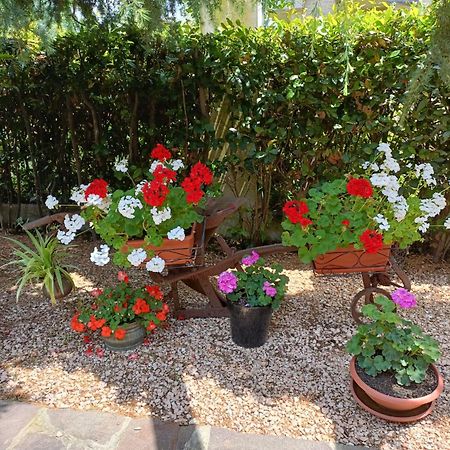 Bed and breakfast Recanati Family Extérieur photo