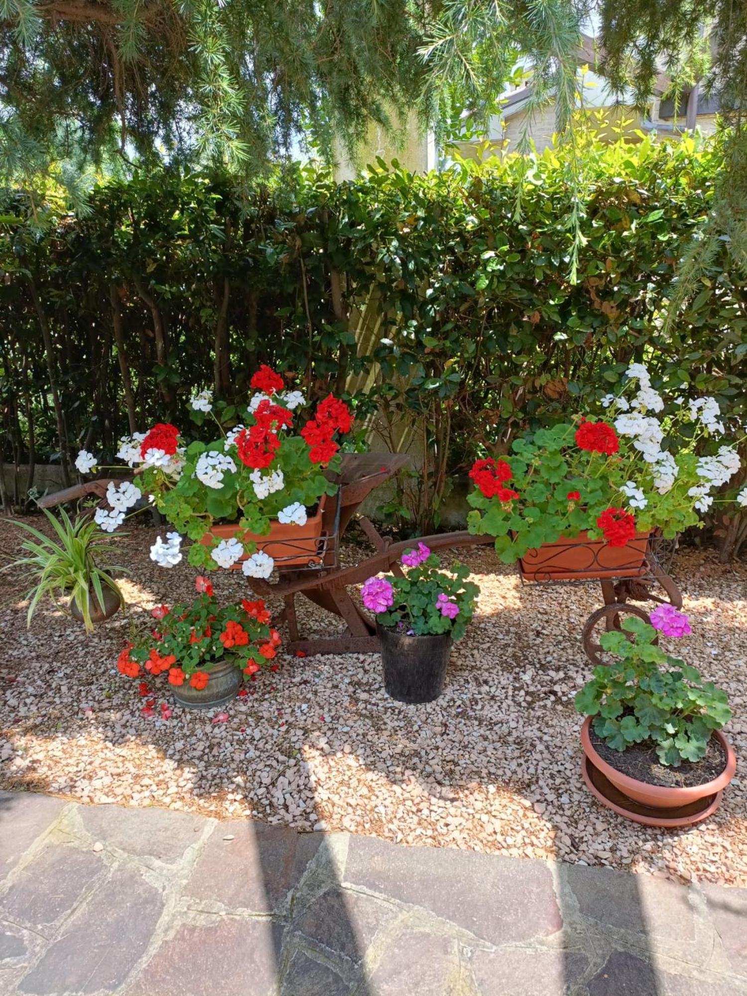 Recanati Family Extérieur photo